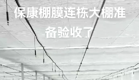 ?？蹬锬みB棟大棚準(zhǔn)備驗收